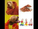 https://image.noelshack.com/minis/2023/05/1/1675099259-juvv2f5134x01.png