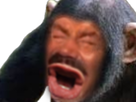 https://image.noelshack.com/fichiers/2023/05/3/1675227511-1520333417-singe-eussou-zoom-by-jyoopo.png