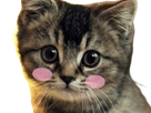 https://image.noelshack.com/minis/2023/05/4/1675369305-stickerchat1-chsk-rem-bg2.png
