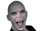 https://image.noelshack.com/fichiers/2023/05/5/1675450824-voldemort-fou-knifos.png