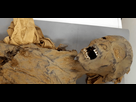 https://image.noelshack.com/fichiers/2023/05/6/1675535731-la-momie-qui-crie-livre-enfin-les-secrets-de-sa-mort.png