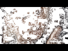https://image.noelshack.com/minis/2023/06/1/1675695411-qzalem.png