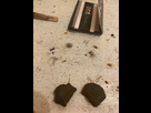 https://image.noelshack.com/minis/2023/06/6/1676135904-image.png