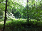 https://image.noelshack.com/fichiers/2023/06/7/1676160834-cmp05.jpg