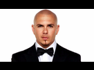 https://image.noelshack.com/fichiers/2023/07/1/1676298028-pitbull-anniv.jpg