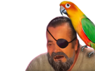 https://image.noelshack.com/fichiers/2023/07/1/1676320352-1467309317-risitas156.png
