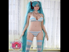 https://image.noelshack.com/fichiers/2023/07/2/1676340390-sex-doll-hatsune-miku-165-cm-5-5-d-cup-sex-doll-genie-400x.jpg