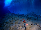 https://image.noelshack.com/fichiers/2023/07/6/1676694916-underwater-mcmurdo-sound.jpg