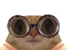 https://image.noelshack.com/fichiers/2023/08/1/1676924497-1675552945-chat.png