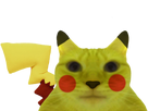 https://image.noelshack.com/fichiers/2023/08/7/1677433695-1642974818-pikachu-chat.png