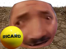 https://image.noelshack.com/fichiers/2023/09/1/1677463510-cochonnet.png
