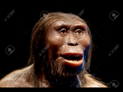 https://image.noelshack.com/fichiers/2023/09/1/1677468272-125891649-lucy-neandertal-cro-magnon-visage-feminin-isolated-on-black.jpg