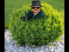 https://image.noelshack.com/fichiers/2023/09/1/1677500023-buis.jpg