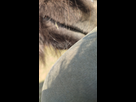 https://image.noelshack.com/fichiers/2023/09/6/1677936476-img-20230304-142659.jpg