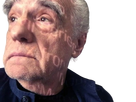 https://image.noelshack.com/fichiers/2023/09/7/1678015537-scorsese-zoom.png