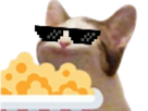https://image.noelshack.com/fichiers/2023/09/7/1678037545-chaton-stylay.png