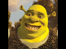 https://image.noelshack.com/minis/2023/09/7/1678048601-1449859-shrek-dans-shrek-4-il-etait-une-fin.png