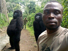 https://image.noelshack.com/fichiers/2023/10/1/1678087063-gorilla-selfie-68976548.jpg