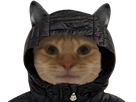 https://image.noelshack.com/fichiers/2023/10/7/1678648235-1638744486-chat-capuchent.png