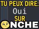 https://image.noelshack.com/fichiers/2023/11/4/1678981842-oui.png