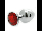 https://image.noelshack.com/fichiers/2023/11/5/1679062733-jewel-plug-anal-argent.jpg