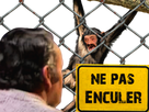 https://image.noelshack.com/fichiers/2023/12/1/1679312832-1653242652-cash-dans-le-chimpanzard.png