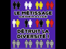 https://image.noelshack.com/fichiers/2023/13/6/1680328175-le-metissage-generalise-detruit-la-diversite.jpg