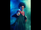 https://image.noelshack.com/fichiers/2023/14/2/1680645565-2b9950e978d5a719c8d41f096f0145bc-harry-potter-cosplay-black-panthers.jpg