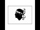 https://image.noelshack.com/fichiers/2023/14/7/1681052826-drapeau-corse-4.jpg