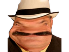 https://image.noelshack.com/fichiers/2023/15/5/1681429184-ecartin.png
