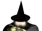 https://image.noelshack.com/fichiers/2023/15/5/1681463082-fouduvillagenet.png