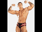 https://image.noelshack.com/fichiers/2023/15/5/1681499847-png-transparent-randy-orton-wwe-smackdown-vs-raw-2008-professional-wrestler-wwe-2k17-male-randy-orton-physical-fitness-sport-sports.png