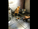 https://image.noelshack.com/fichiers/2023/15/5/1681500787-delicious-and-nutritious-1681500618302-edit-3314887859719161.jpg