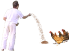 https://image.noelshack.com/fichiers/2023/16/3/1681889508-graine.png