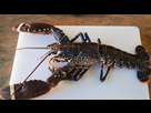 https://image.noelshack.com/minis/2023/17/1/1682330339-homard-entier-vivant-1825x1027.png
