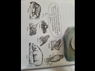 https://image.noelshack.com/minis/2023/17/2/1682428494-20230425-151418.png