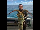 https://image.noelshack.com/minis/2023/17/3/1682502188-peche-a-la-langouste-en-corse-7.png