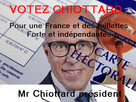 https://image.noelshack.com/fichiers/2023/17/5/1682695091-votezchiottard.png