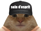 https://image.noelshack.com/fichiers/2023/18/3/1683132542-1664745495-seindesprix.png