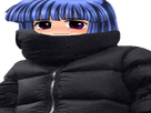 https://image.noelshack.com/fichiers/2023/18/4/1683152128-rikaracailleaa.png
