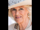 https://image.noelshack.com/fichiers/2023/18/6/1683373690-camilla-parker-bowles.jpg