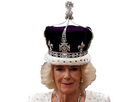 https://image.noelshack.com/fichiers/2023/18/6/1683378218-camilla.png