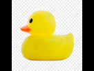 https://image.noelshack.com/fichiers/2023/18/7/1683477042-lovepik-yellow-duck-png-image-400973988-wh860.png