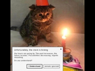 https://image.noelshack.com/fichiers/2023/19/3/1683670563-fvtuzcrxsaaiij.jpg