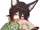 https://image.noelshack.com/fichiers/2023/19/7/1684022922-tingyun.png