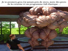 https://image.noelshack.com/fichiers/2023/20/1/1684161833-go-muscu.png