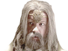 https://image.noelshack.com/fichiers/2023/20/6/1684614951-merlin-s4.png