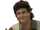 https://image.noelshack.com/fichiers/2023/21/2/1684852267-full-52.png