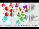 https://image.noelshack.com/fichiers/2023/21/6/1685213855-1684707354-human-y-chromosome-dna-haplogroups-percentages-svg.png