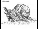 https://www.noelshack.com/2023-22-2-1685454034-giant-snail.png